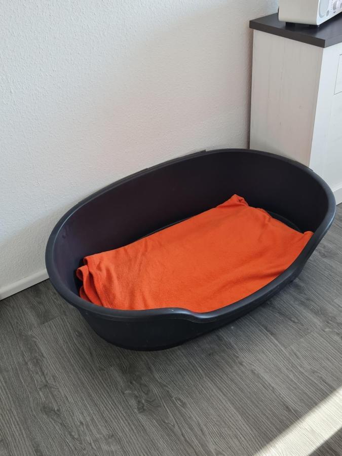 Ferienwohnung Annett & Matthias Hahnenklee Goslar Bagian luar foto
